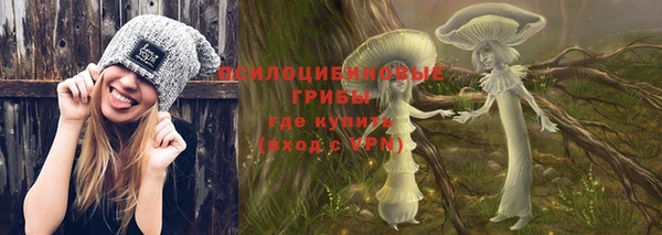 эйфоретик Богородицк