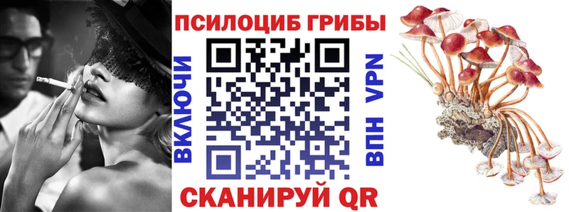 Псилоцибиновые грибы мухоморы  МЕГА маркетплейс  Невель 