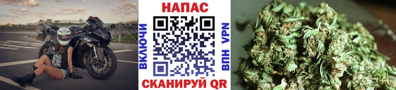 закладки  Невель  Каннабис планчик 